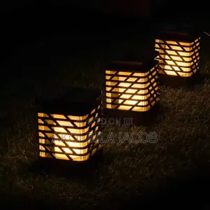 Outdoor Hanging Light/Solar Wall