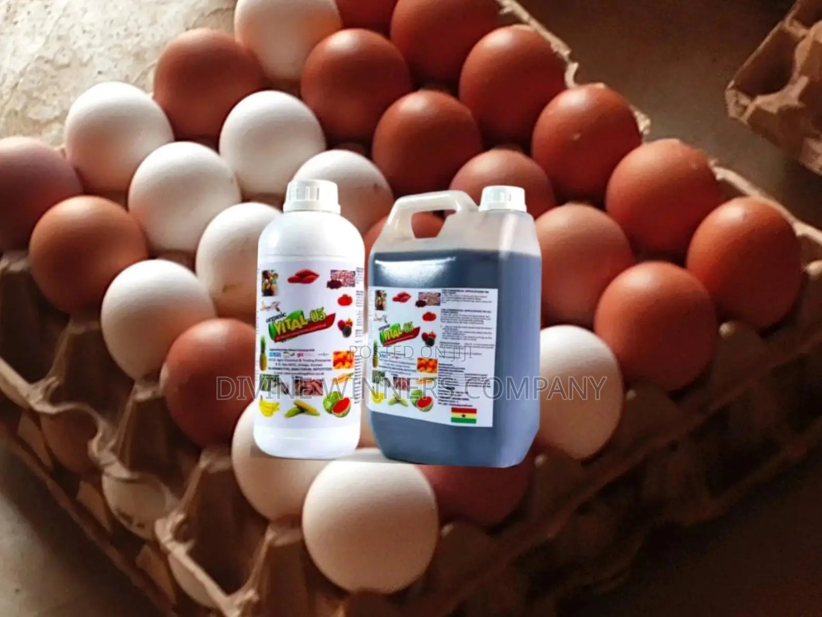 Vital 05 ( Organic Bio-stimulant Liquid Fertilizer)