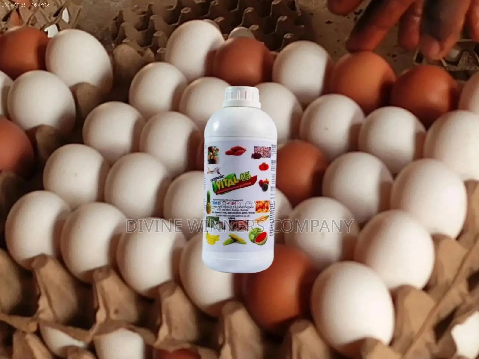 Vital 05 ( Organic Bio-stimulant Liquid Fertilizer)