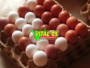 Vital 05 ( Organic Bio-stimulant Liquid Fertilizer)