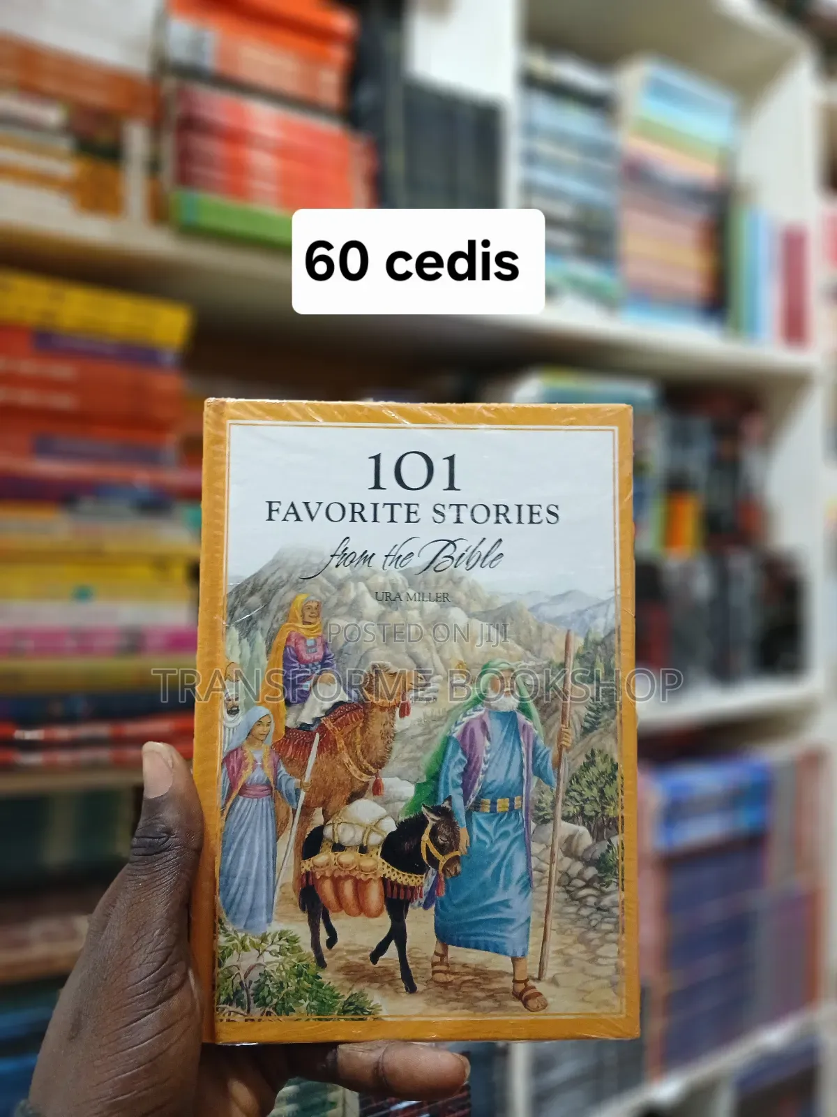Children's Bibles