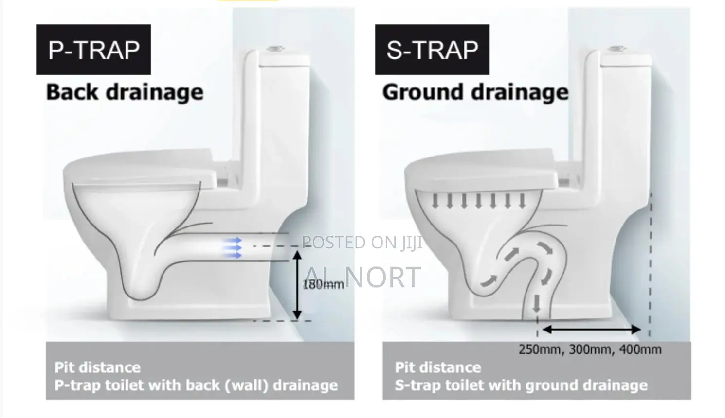 Toilet Seat
