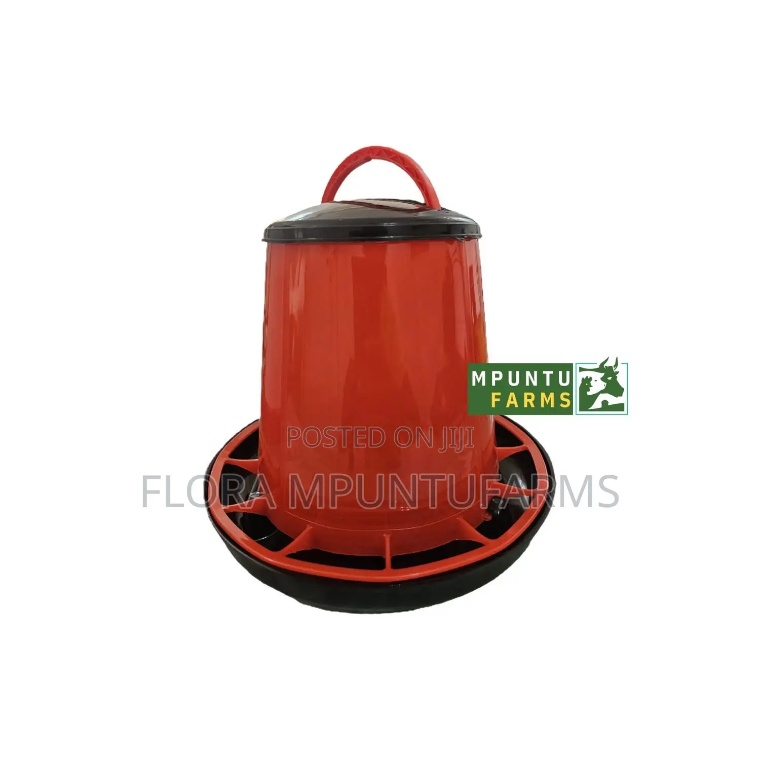 3kg Feeders