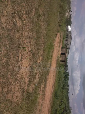 Half Plot of Land at Affordable Price