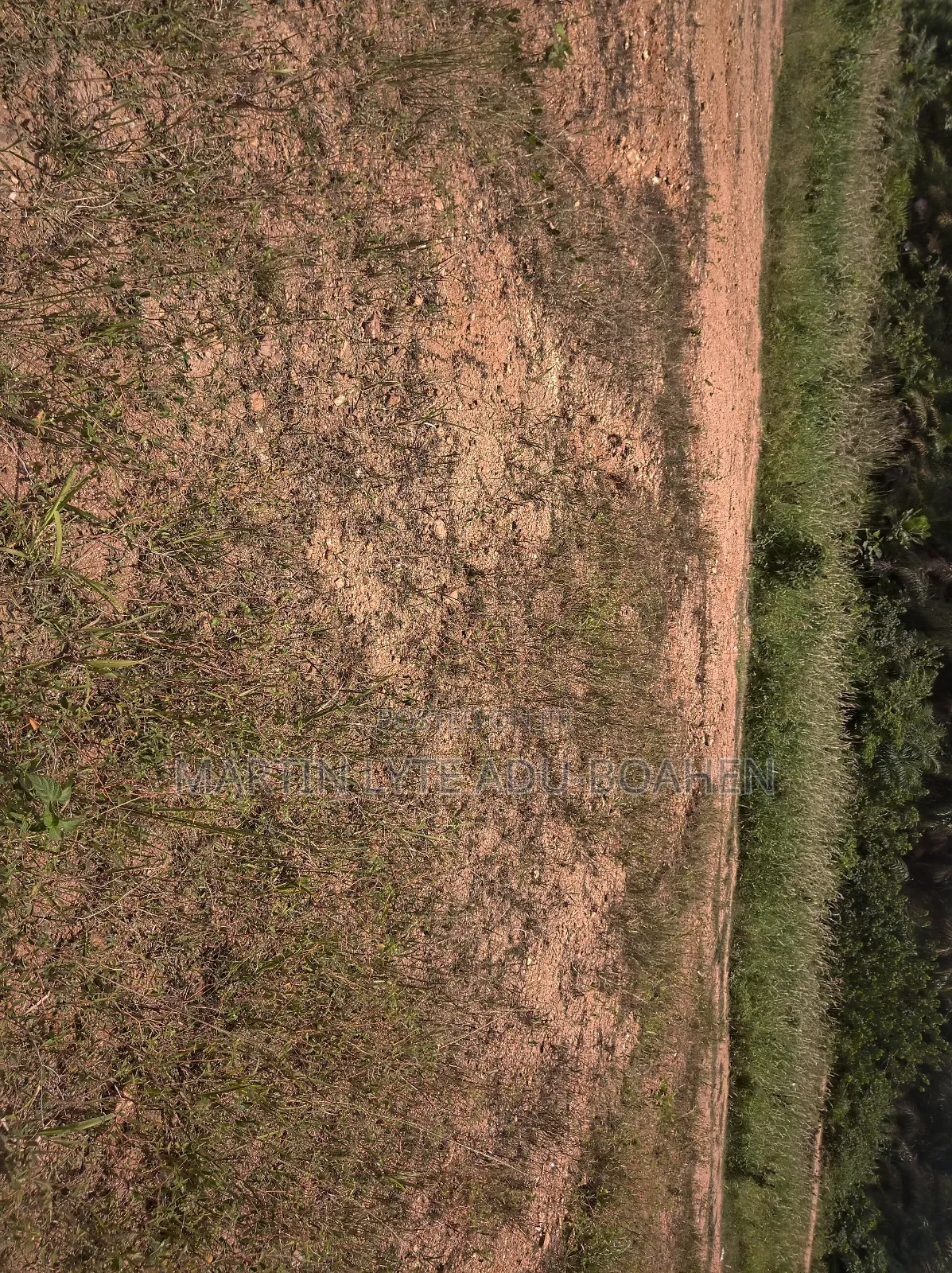 Half Plot of Land at Affordable Price
