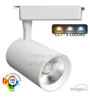 Track Light