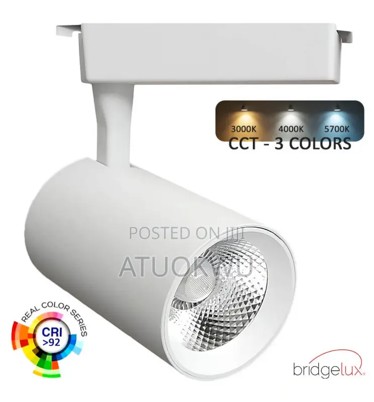Track Light