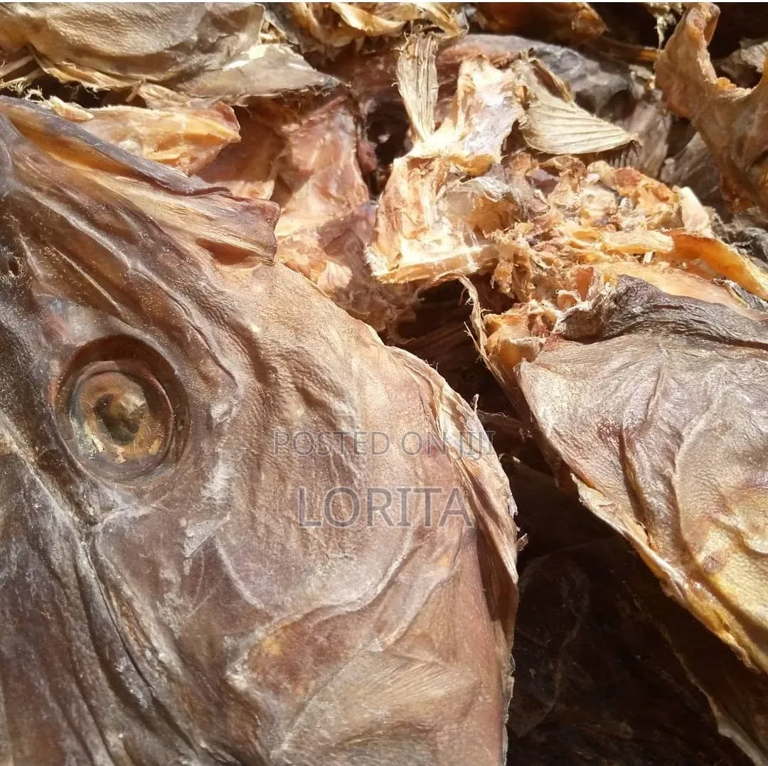 Quality Okproko Fishes