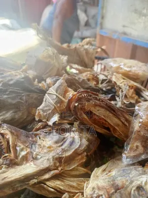 Quality Okproko Fishes