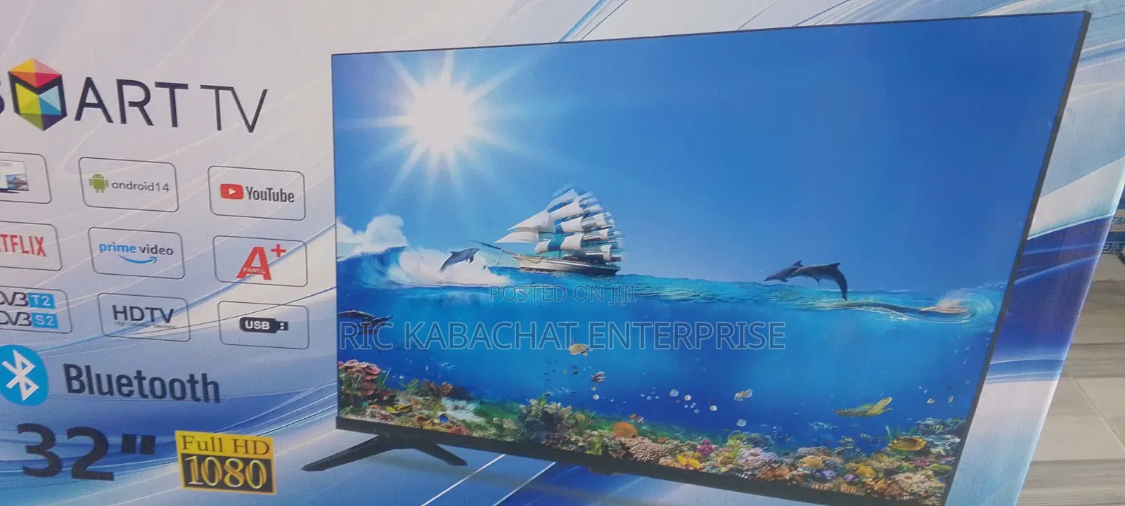 Dolphine Bay Tv 32 Smart