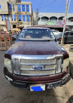 2009-2014 Ford F150 Windscreen Available