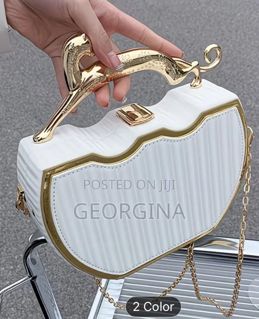 Ladies Beautiful Handbag