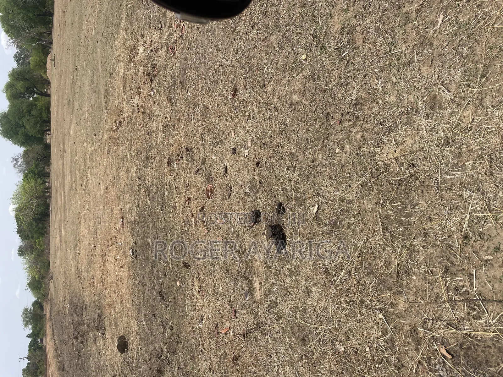 Lands for Sale at Sumbrungu Anateem