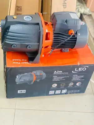 Great 1.0hp Cast Water Pump, Leo