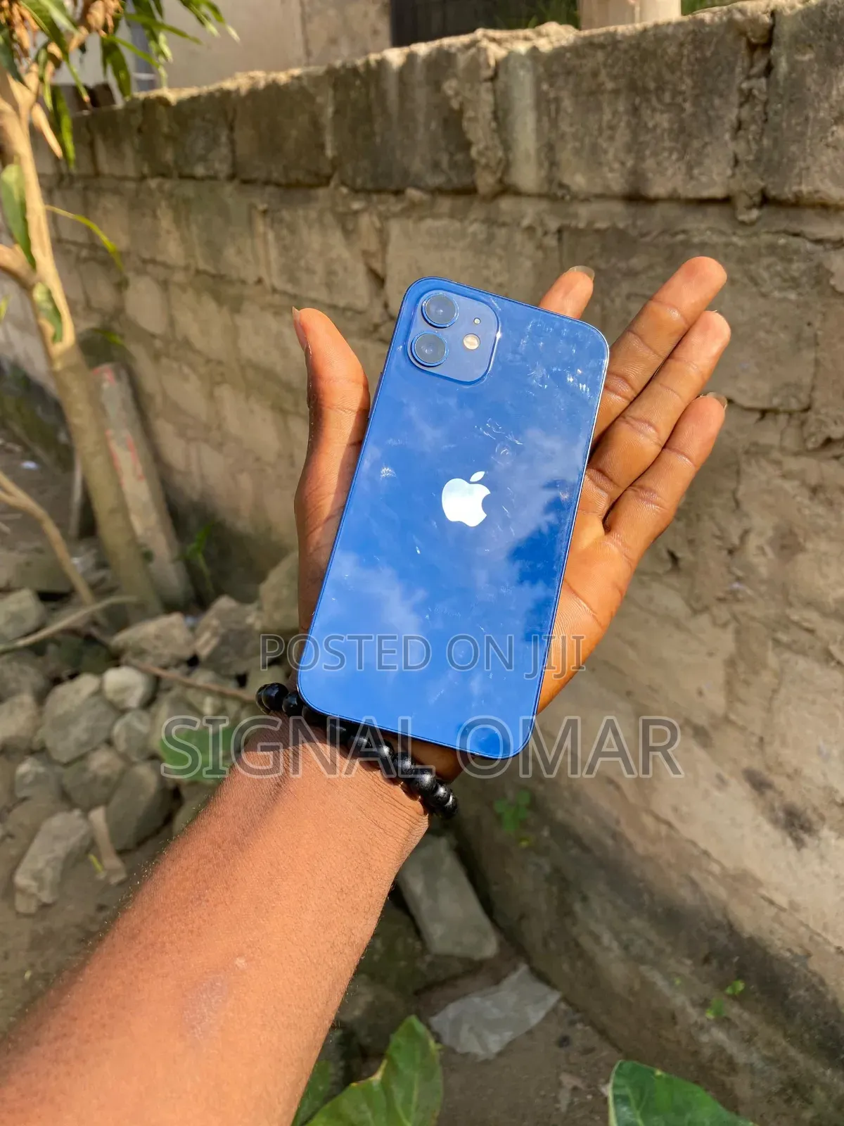 Apple iPhone 12 64 GB Blue