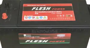 25 Plate 150ah Battery Flesh Power