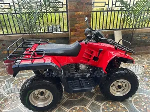 Beach 2019 Red