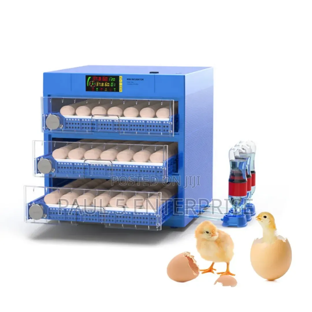 192eggs Incubator Fully Automatic Dual Power Wholesale and Retail