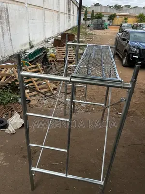 Ladder/Scaffold