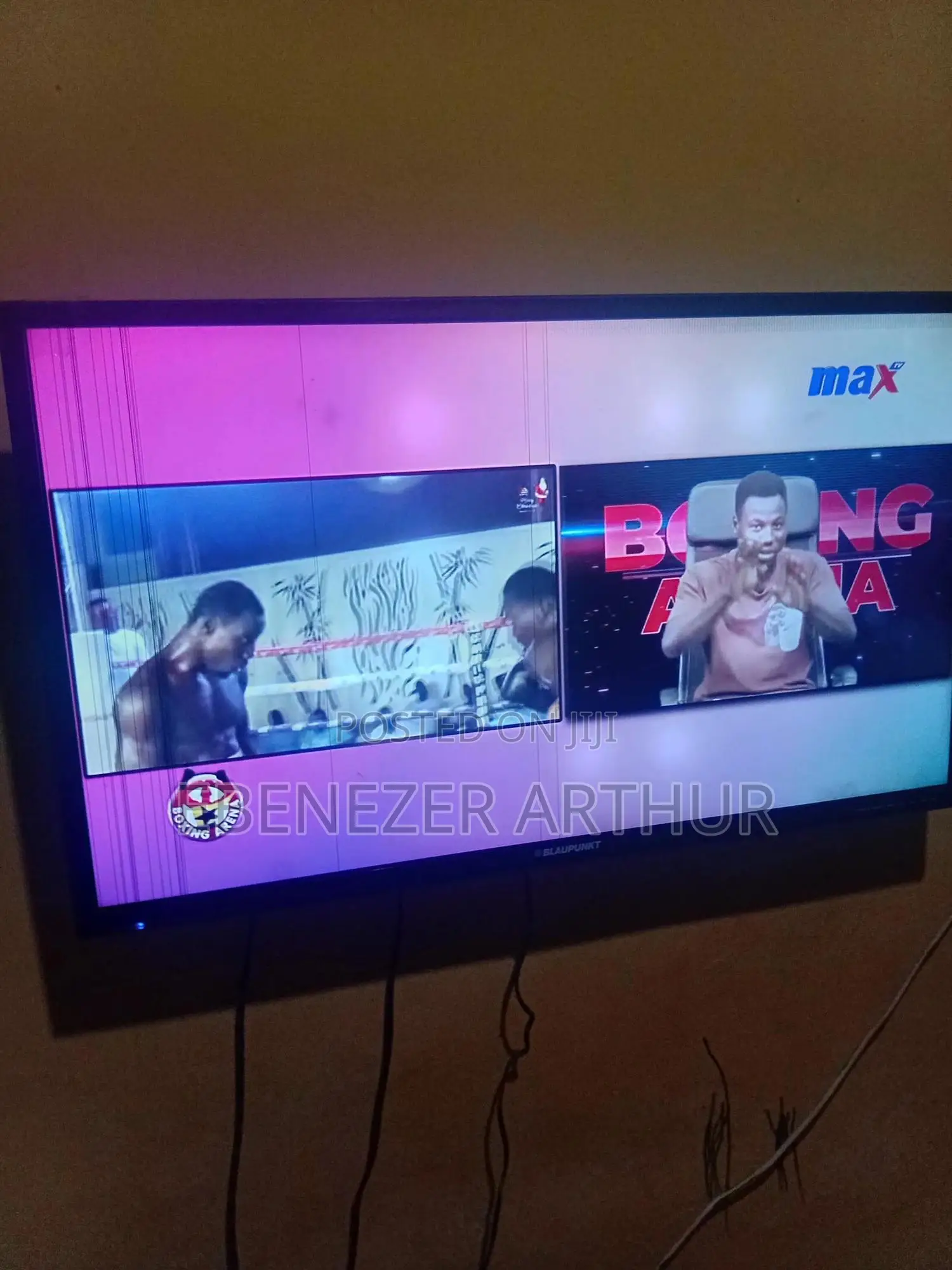Bluepaunt TV
