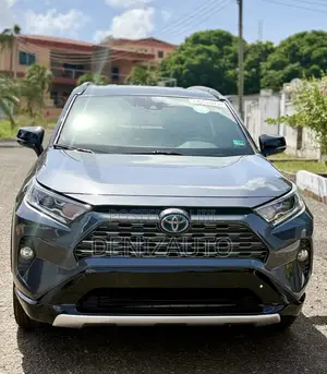 Toyota RAV4 XSE 2019 Gray