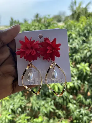 Luxury Earrings