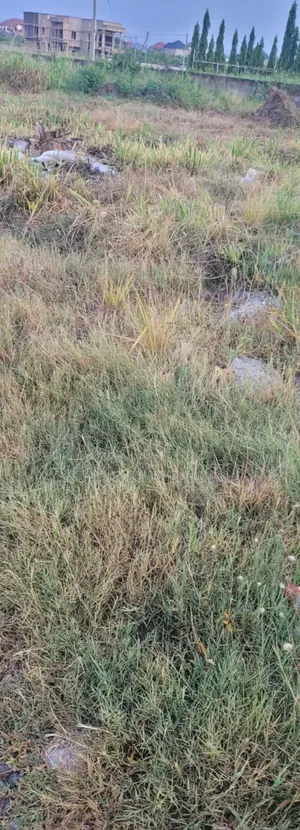 Half Plot of Land for Sale at East Legon Akatamanso