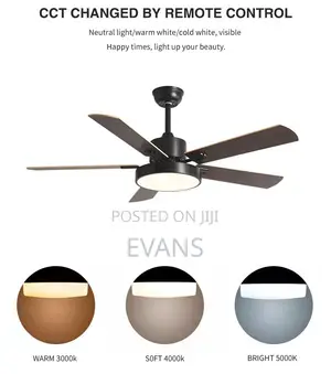 42 Inch Ceiling Fan + Light (Remote)