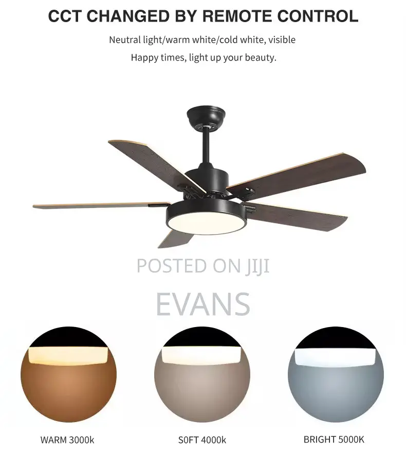 42 Inch Ceiling Fan + Light (Remote)