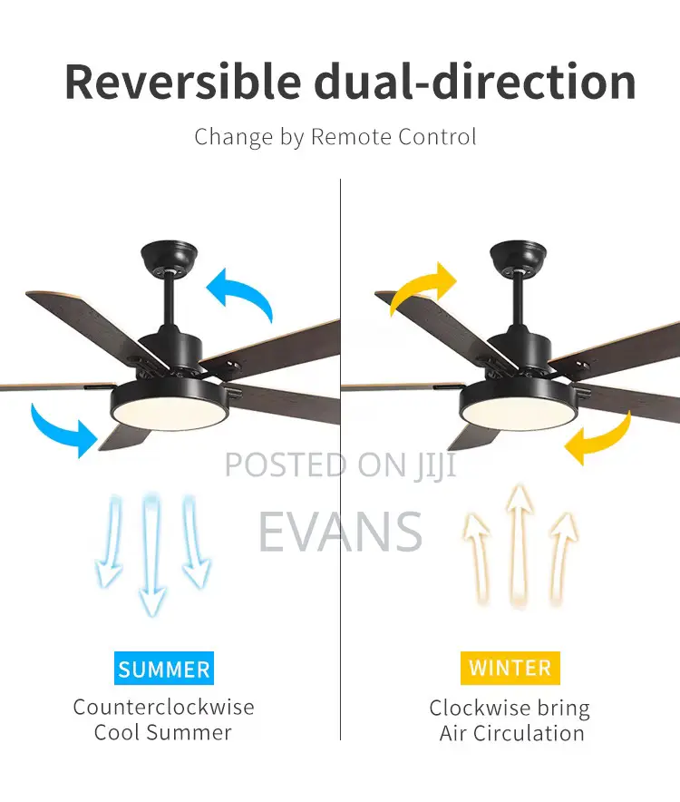 42 Inch Ceiling Fan + Light (Remote)