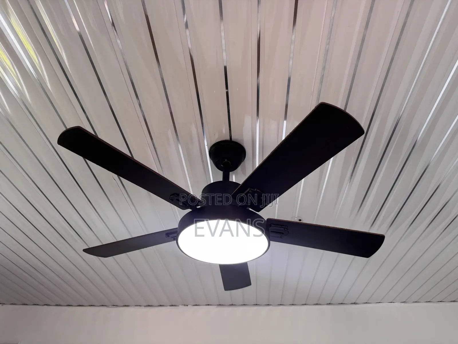 42 Inch Ceiling Fan + Light (Remote)