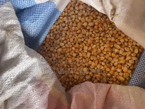 Yellow and White Maize