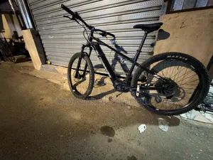 Mondraker E Mountain Bike