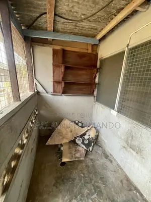 Furnished 1bdrm Apartment in Tubileoo, Ledzokuku-Krowor for rent