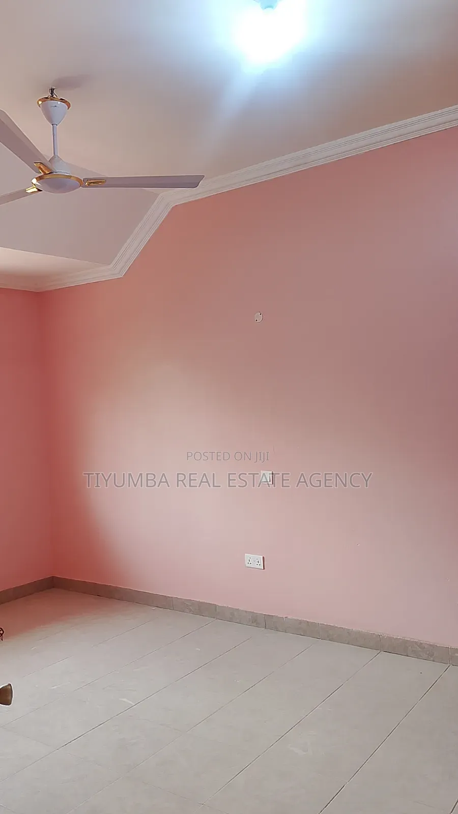 3bdrm Apartment in Tiyumba Real Estates, Ga East Municipal for rent