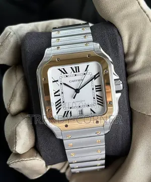 Cartier Santos De Cartier Watch