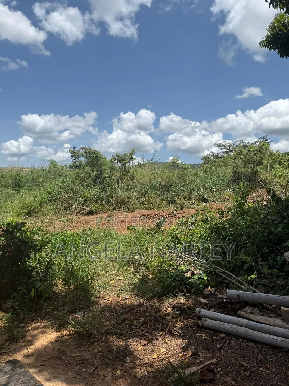 100 Plots for Sale in Oyarifa