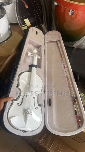 Professional Violin