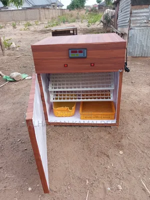 Eggs Incubators