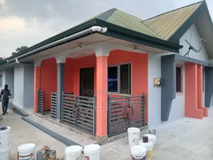 Professional Painter Graffiato Specialist