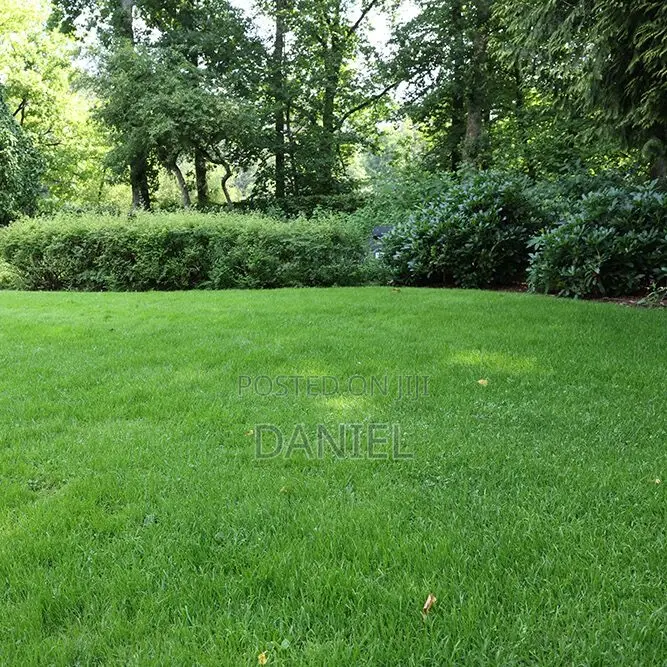 Lawn Maintenance
