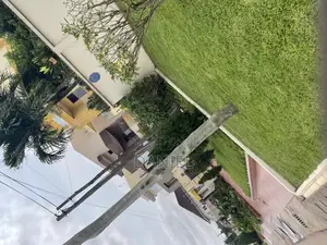 Lawn Maintenance