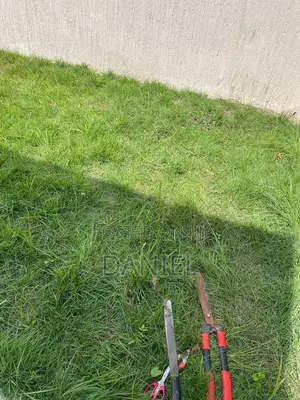 Gardening Service(Flower Planting and Grass Care)