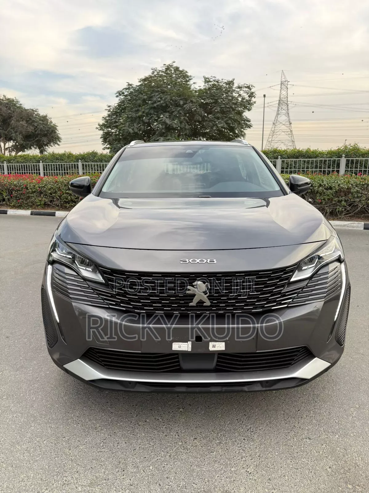 Peugeot 3008 2023 Gray