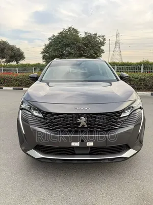Peugeot 3008 2023 Gray