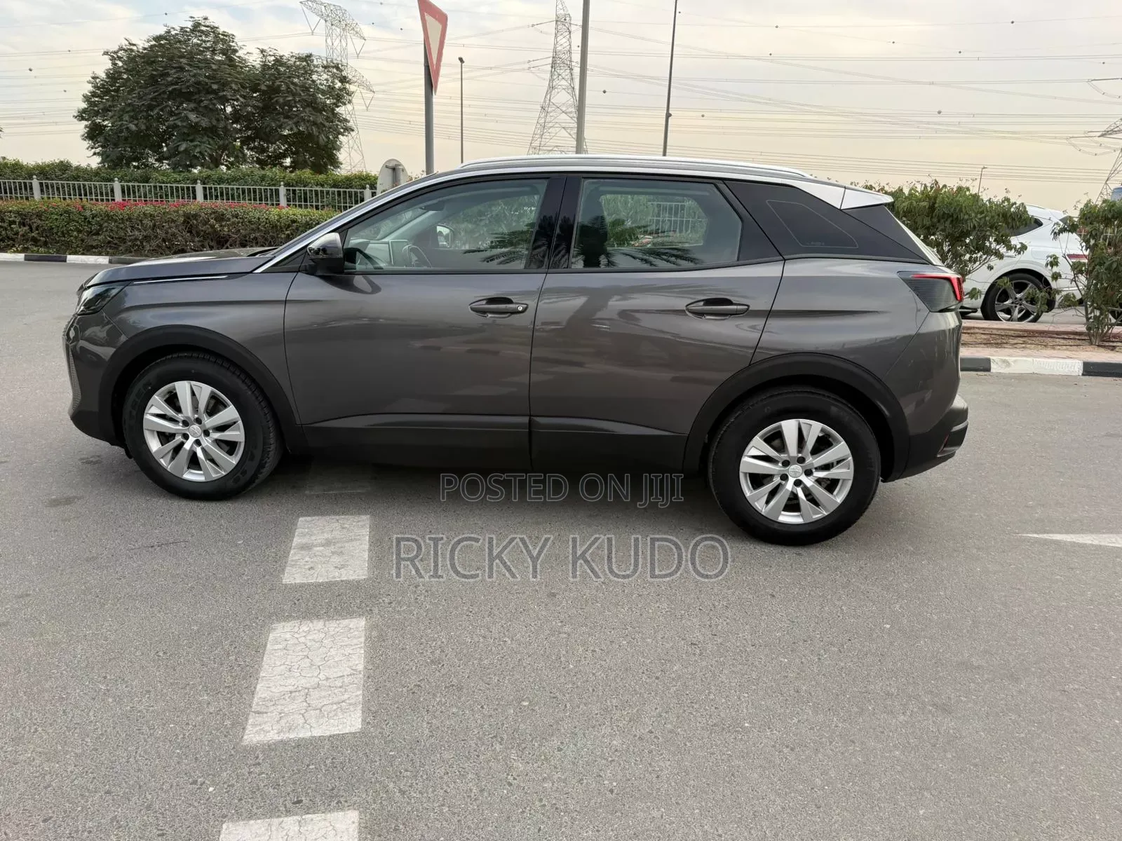 Peugeot 3008 2023 Gray