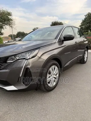 Peugeot 3008 2023 Gray