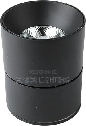 Ceiling Light