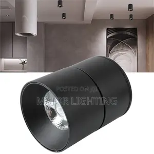 Ceiling Light