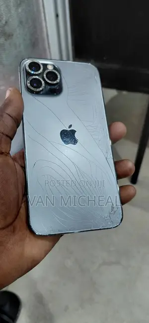 Apple iPhone 12 Pro Max 256 GB Black